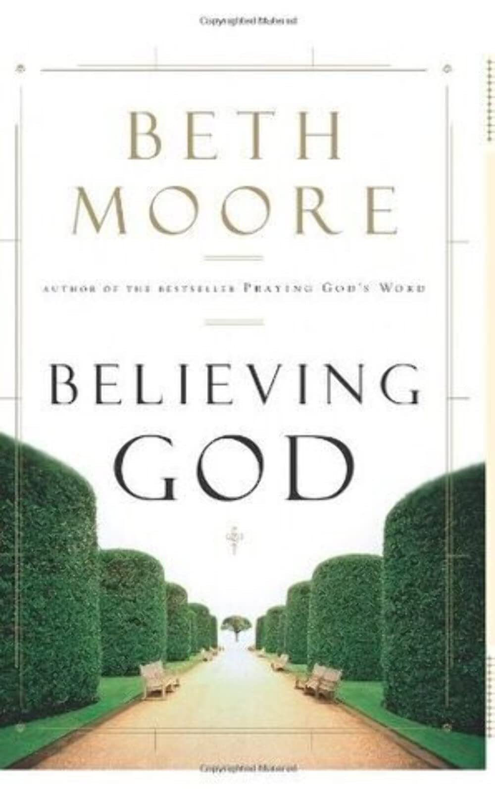 Believing God used book depot