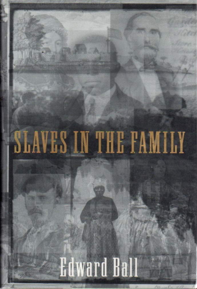 Slaves in the Family used book depot