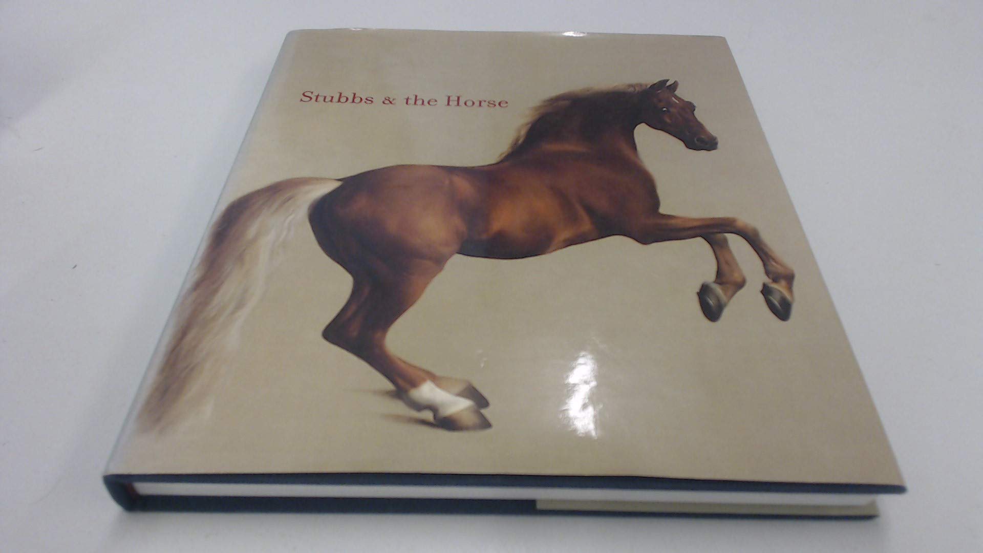 Stubbs & the Horse used book depot