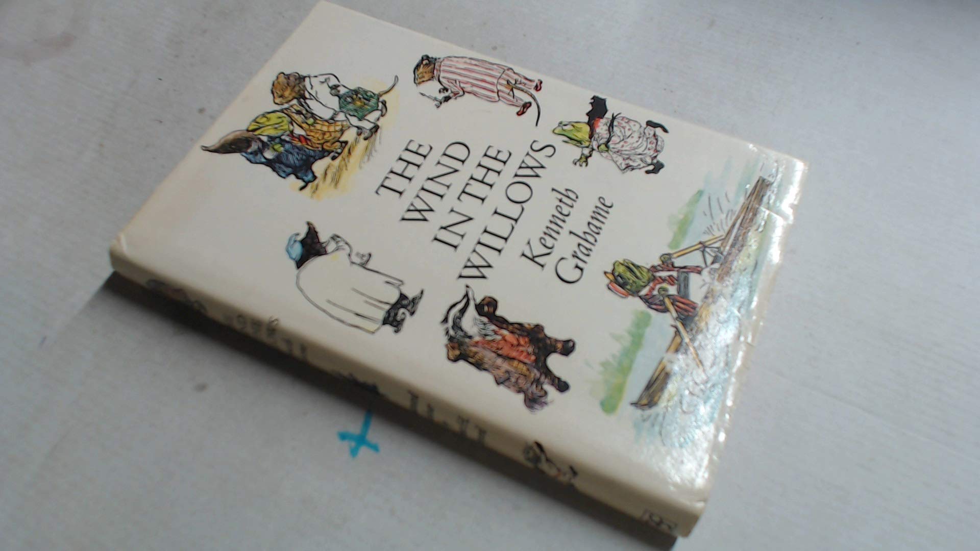 The Wind in the Willows used book depot
