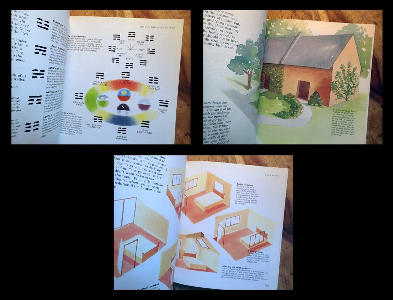 The Feng Shui Handbook: How To Create A Healthier Living & Working Environment (Henry Holt Reference Book) used book depot