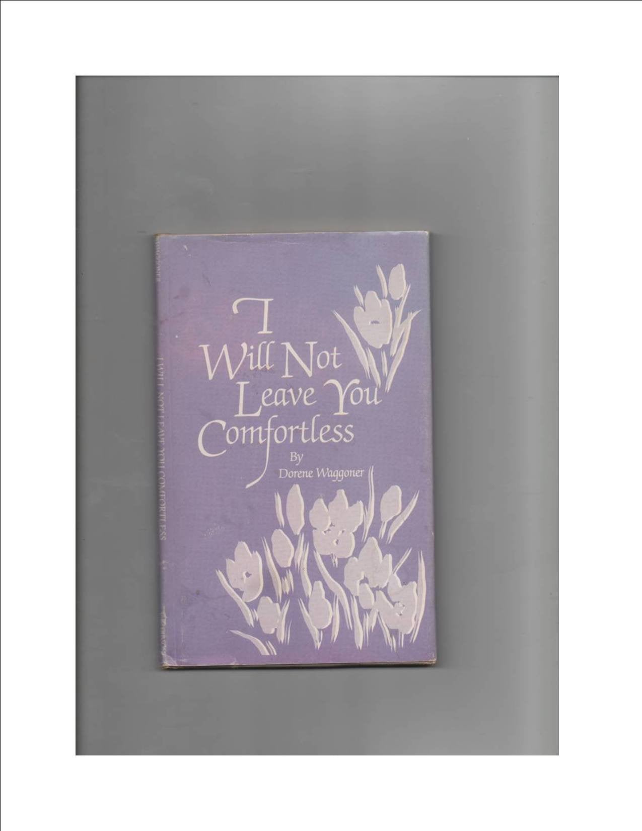 I Will Not Leave You Comfortless used book depot