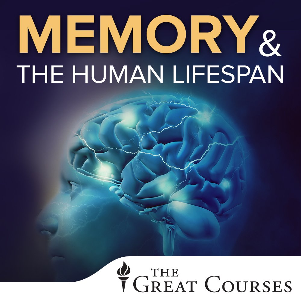 Memory and the Human Lifespan used book depot