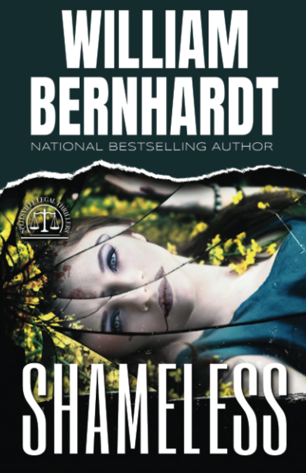 Shameless (Splitsville Legal Thriller Series) used book depot