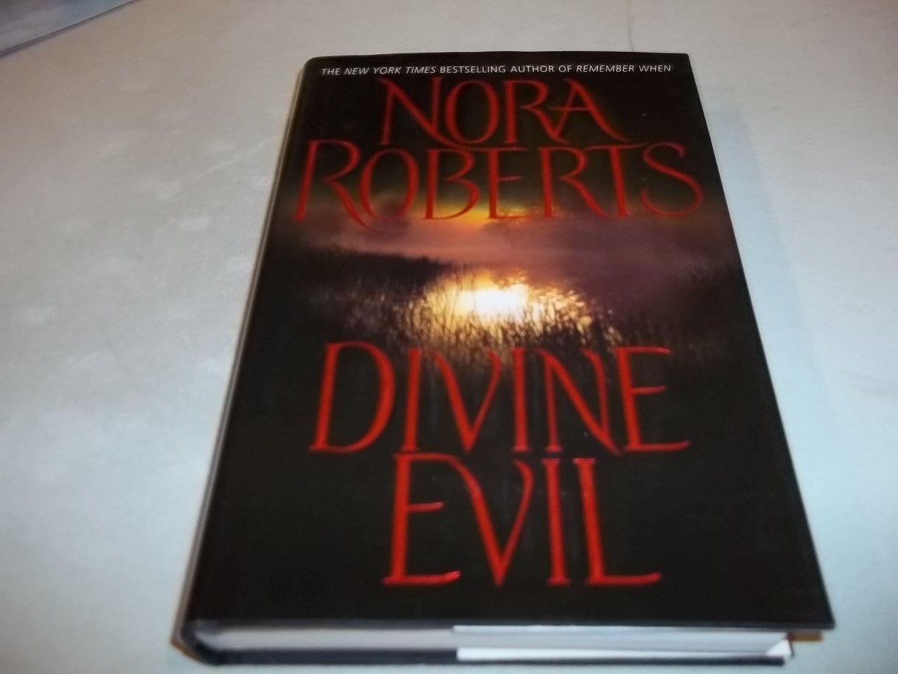 Divine Evil used book depot