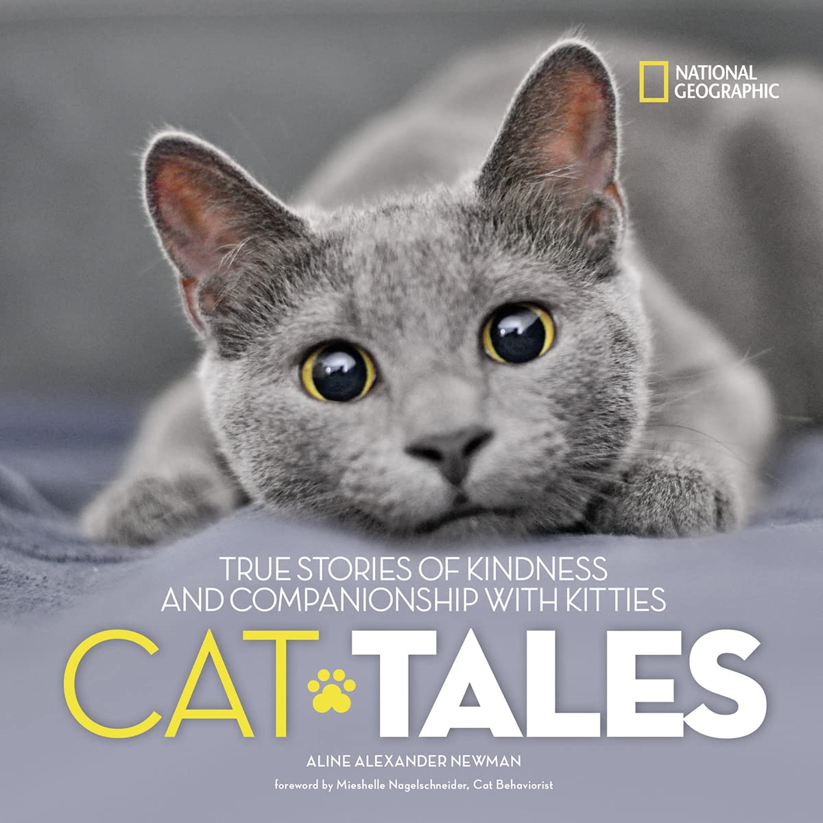 Cat Tales: True Stories of Kindness and Companionship With Kitties used book depot