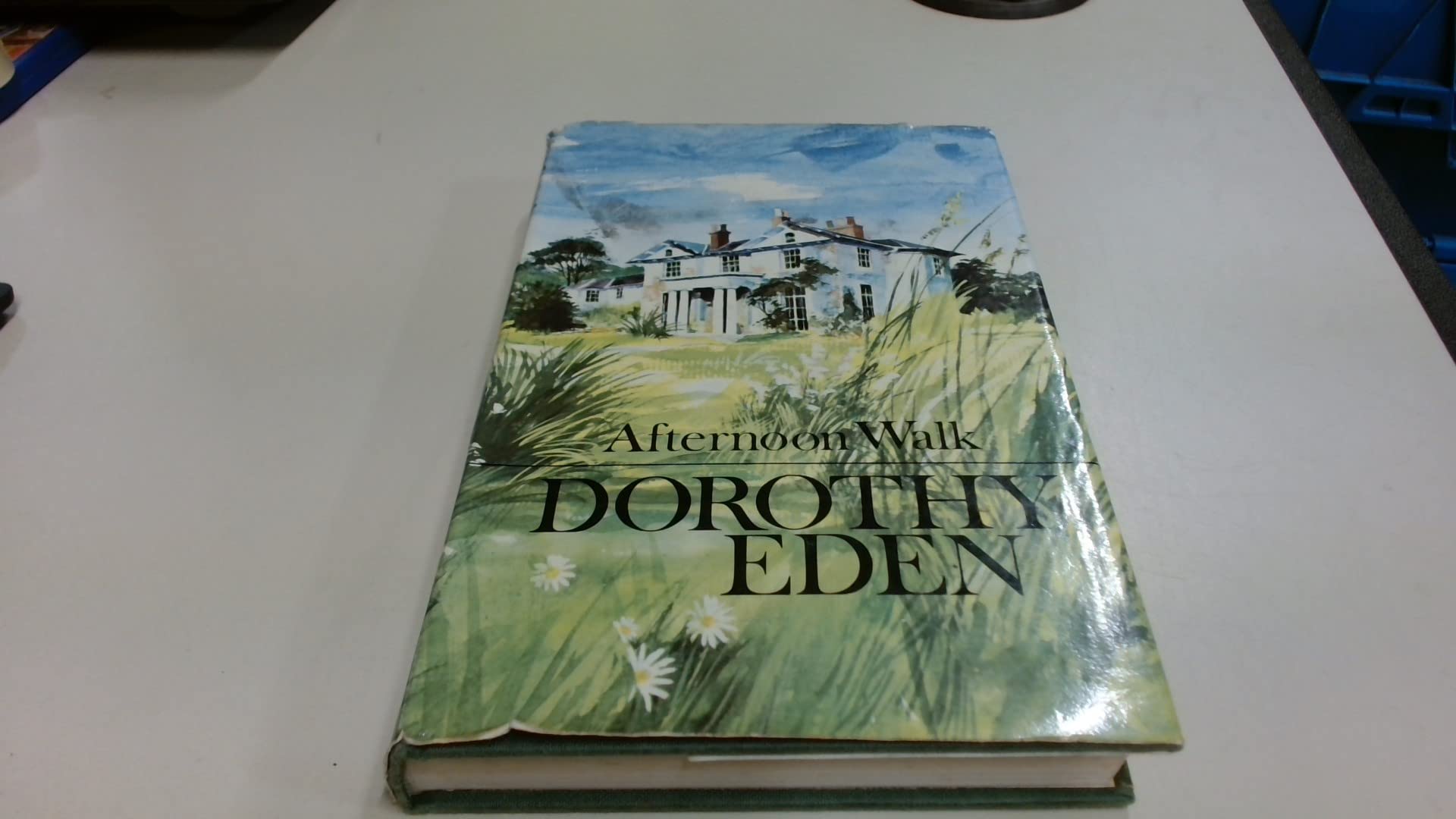 An Afternoon Walk used book depot