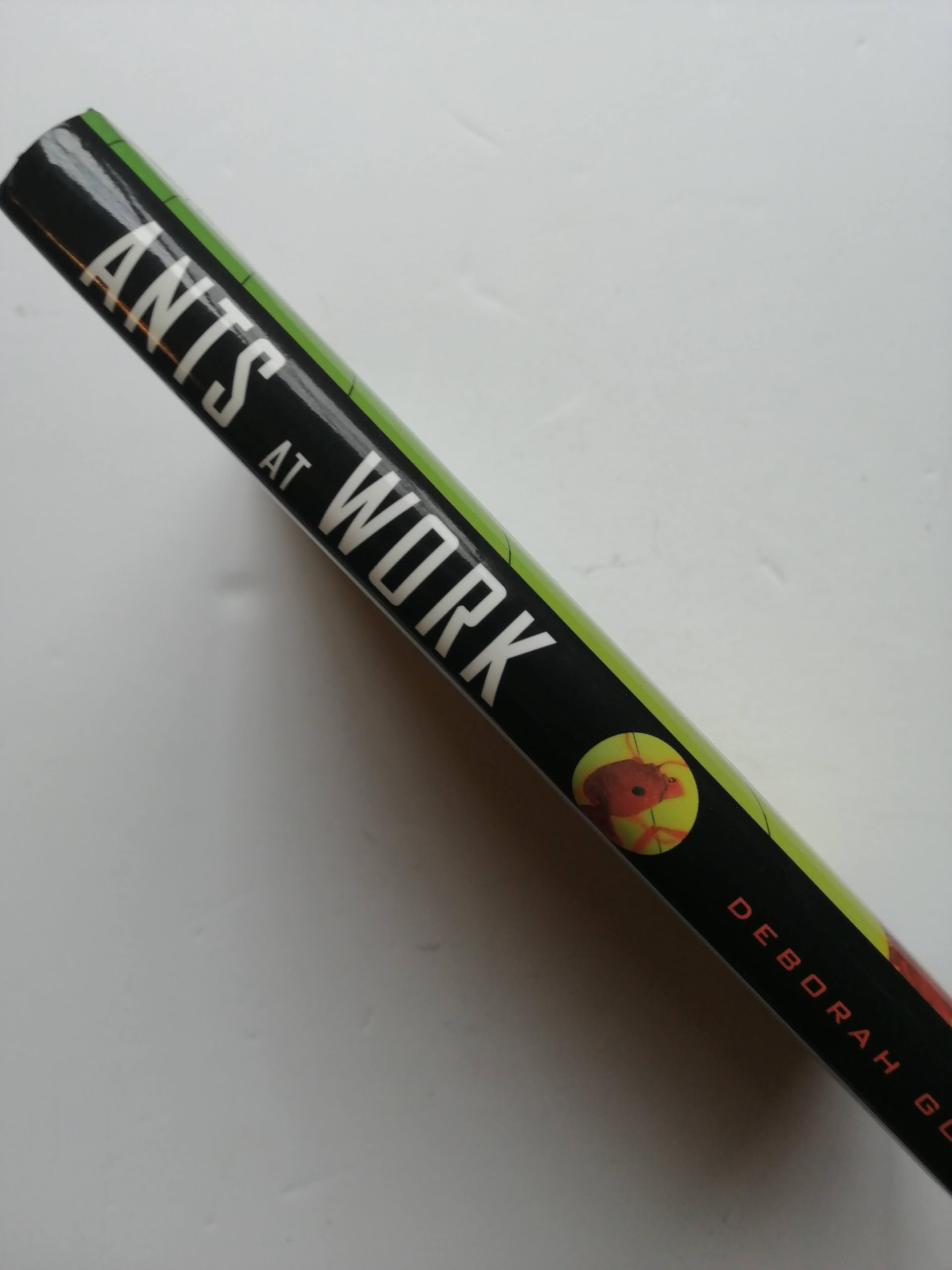 Ants At Work: How An Insect Society Is Organized used book depot