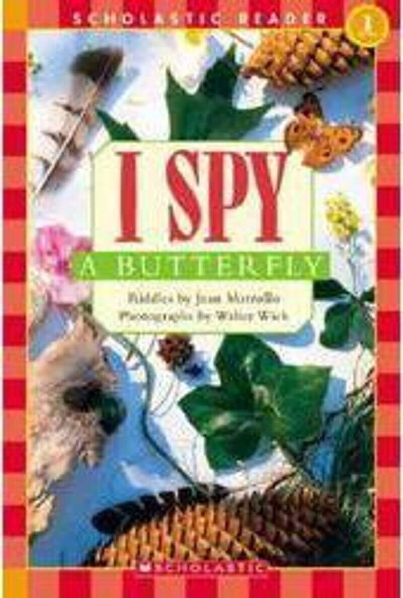 I Spy a Butterfly used book depot