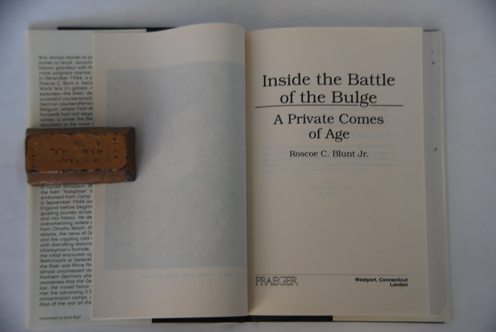 Inside the Battle of the Bulge: A Private Comes of Age used book depot