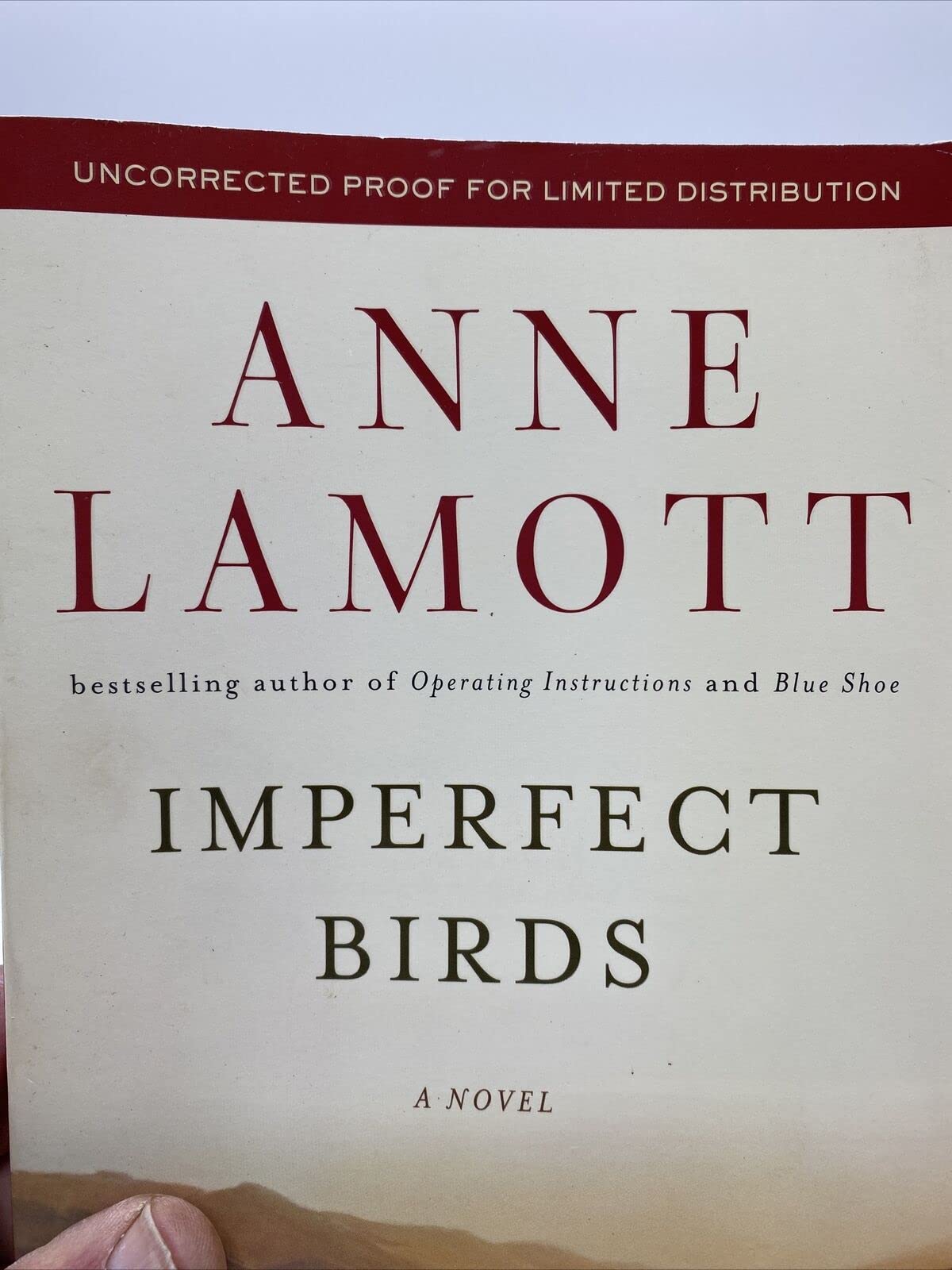 Imperfect Birds: A Novel used book depot