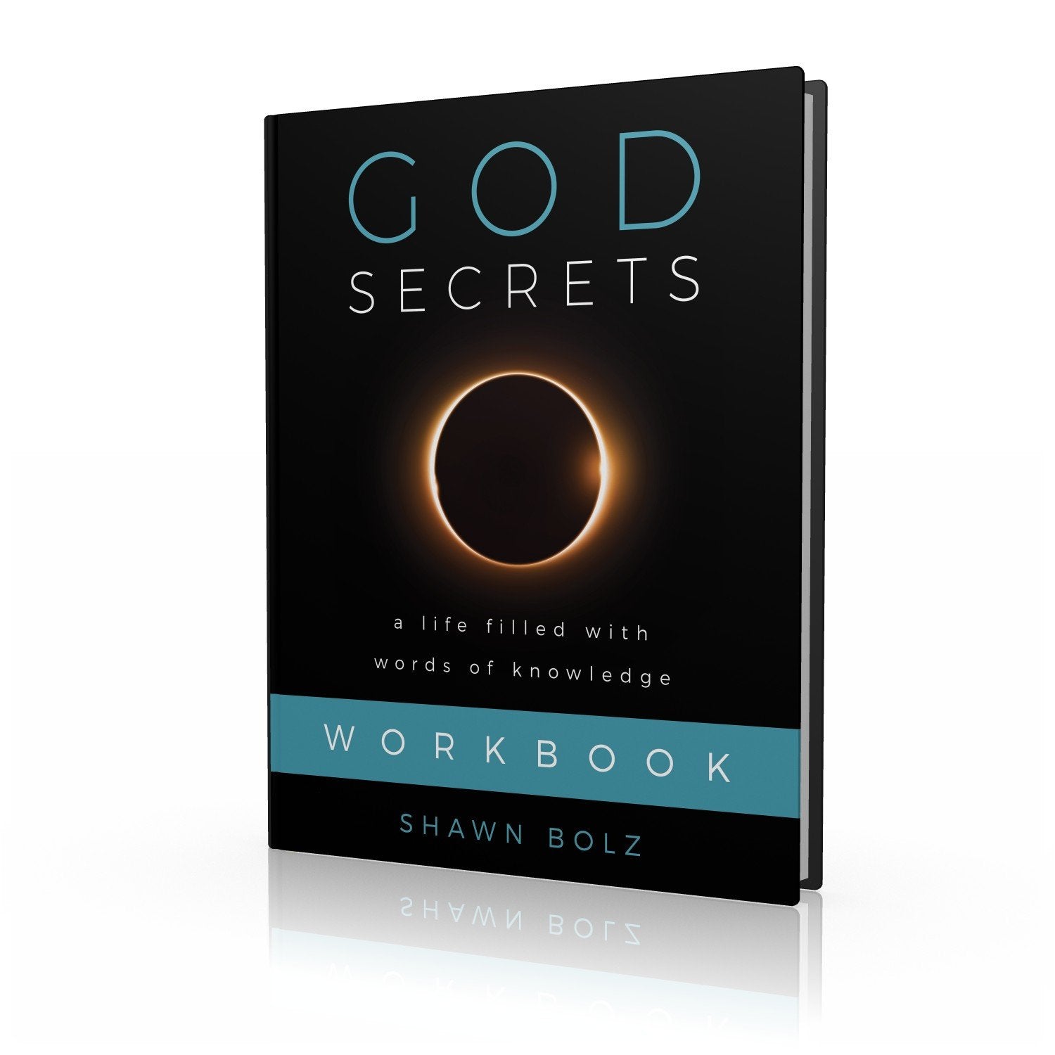 God Secrets Workbook used book depot