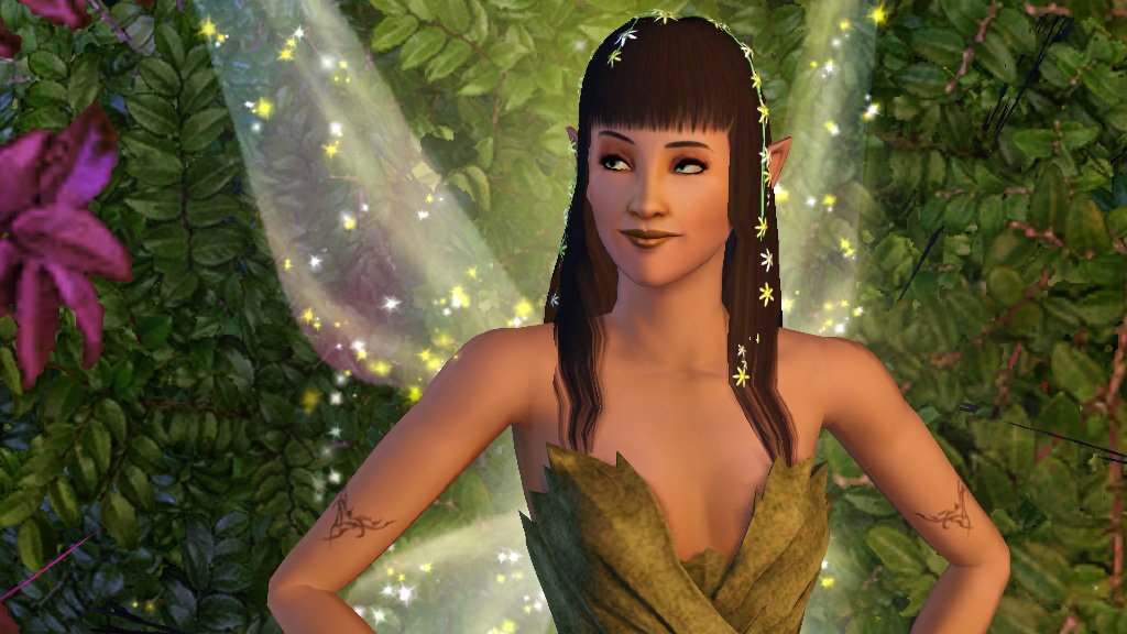The Sims 3 Supernatural used book depot