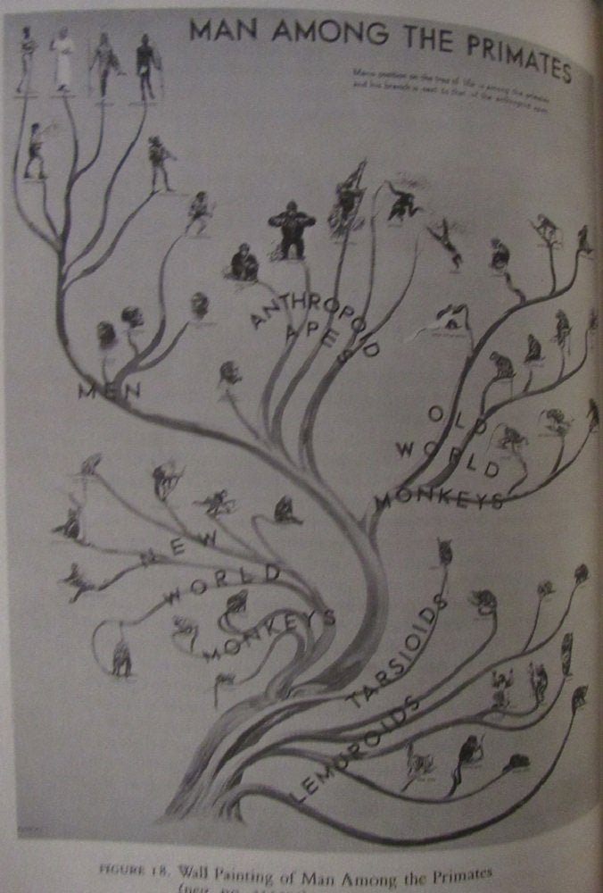 An Agenda for Antiquity: Henry Fairfield Osborn & Vertebrate Paleontology at the American Museum of Natural History, 1890-1935 (History of American Science and Technology Series) used book depot