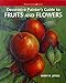 Decorative Painters Guide to Fruits and Flowers WatsonGuptill Crafts Jones, Andy B