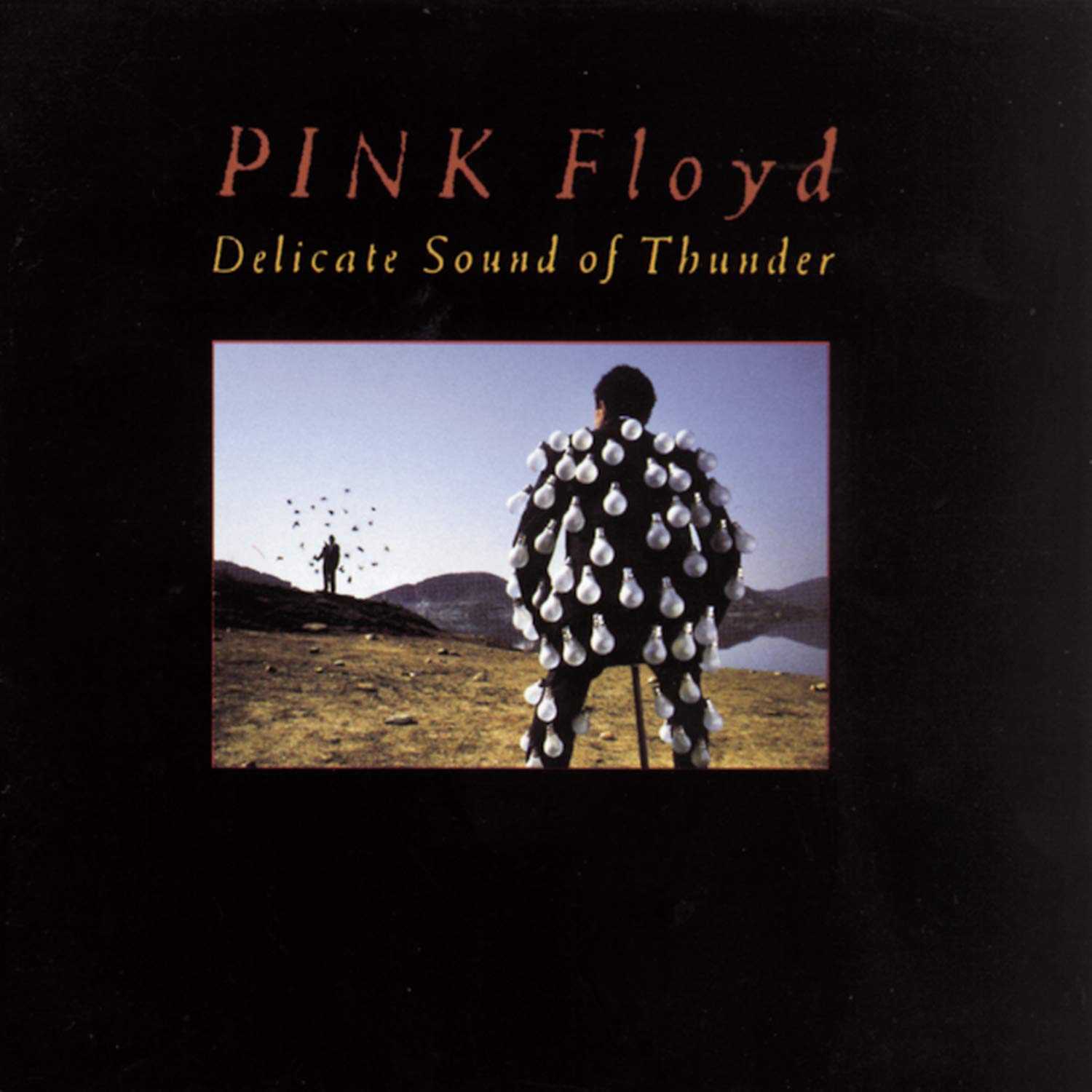 Delicate Sound Of Thunder used book depot