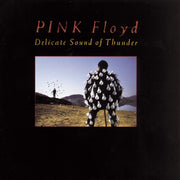 Delicate Sound Of Thunder used book depot