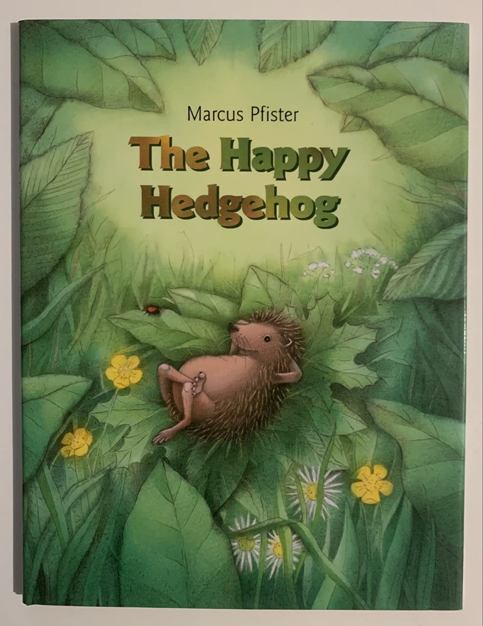 The Happy Hedgehog used book depot