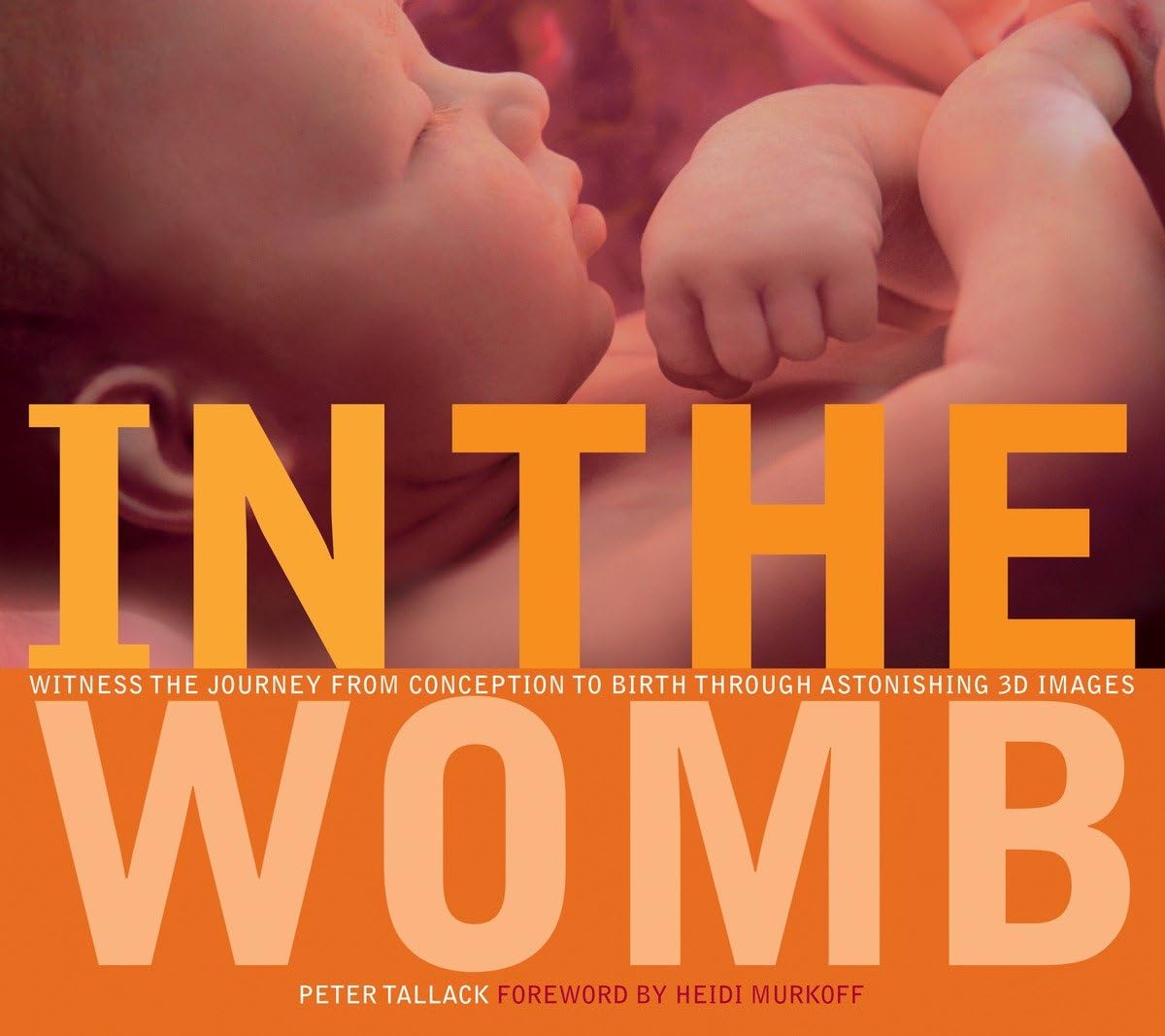 In the Womb: Witness the Journey from Conception to Birth through Astonishing 3D Images used book depot