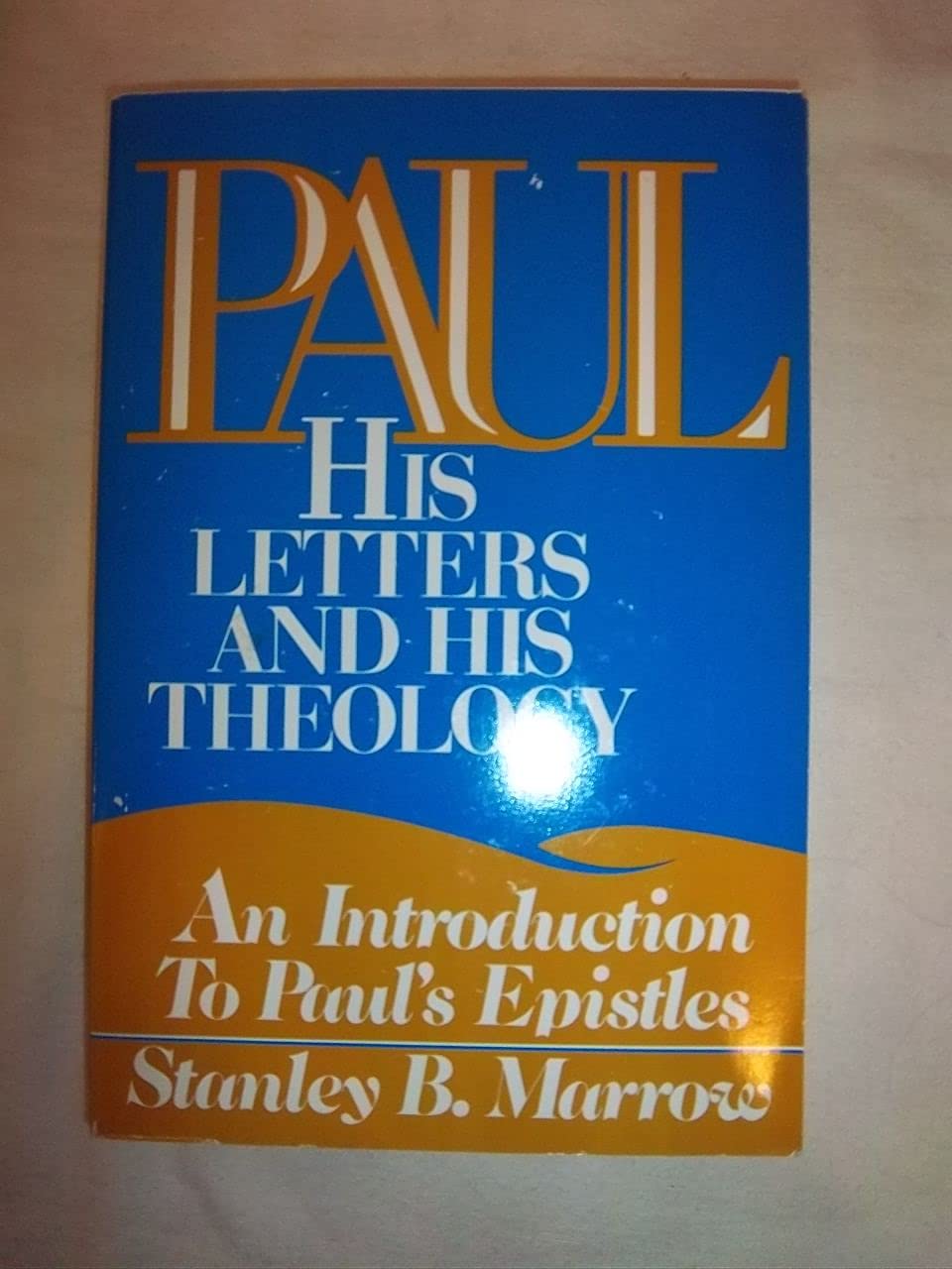 Paul: His Letters and His Theology: An Introduction to Paul's Epistles used book depot
