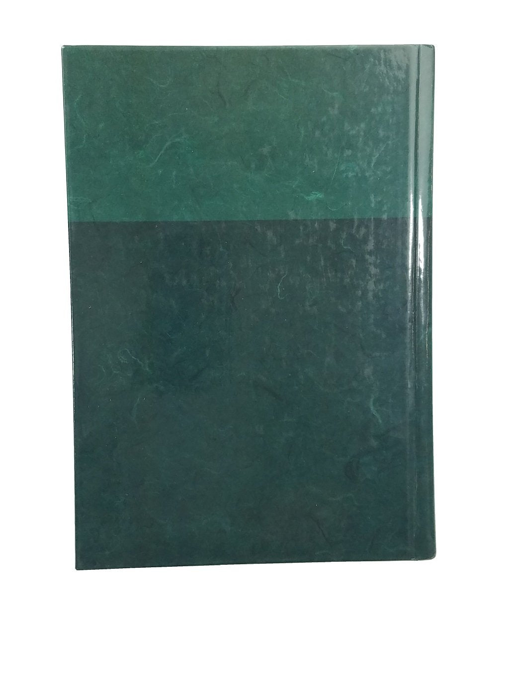 Life Application Study Bible Large Print: NLT1 (New Living Translation)