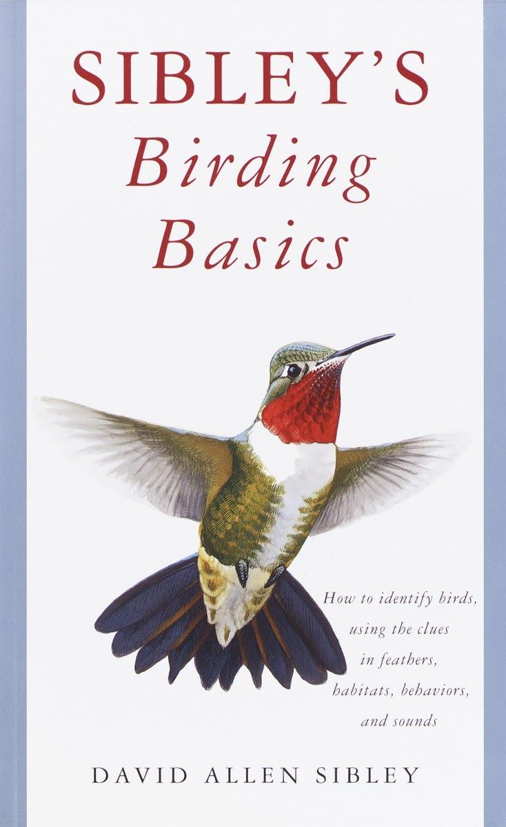Sibley's Birding Basics (Sibley Guides) used book depot