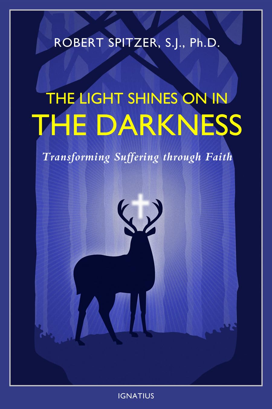 The Light Shines on in the Darkness: Transforming Suffering through Faith (Happiness, Suffering, and Transcendence) (Volume 4) used book depot
