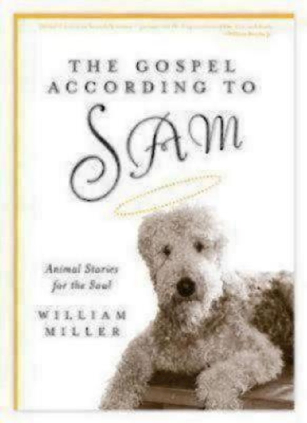 The Gospel According to Sam: Animal Stories for the Soul used book depot