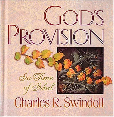 God's Provision in Time of Need used book depot