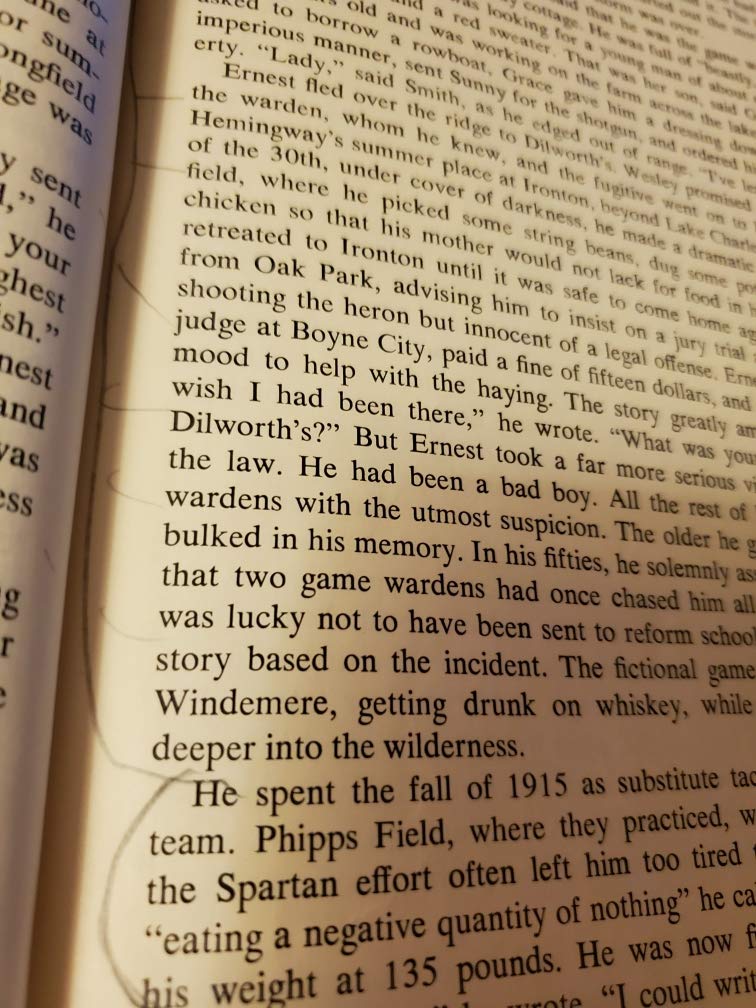 Ernest Hemingway: A Life Story used book depot