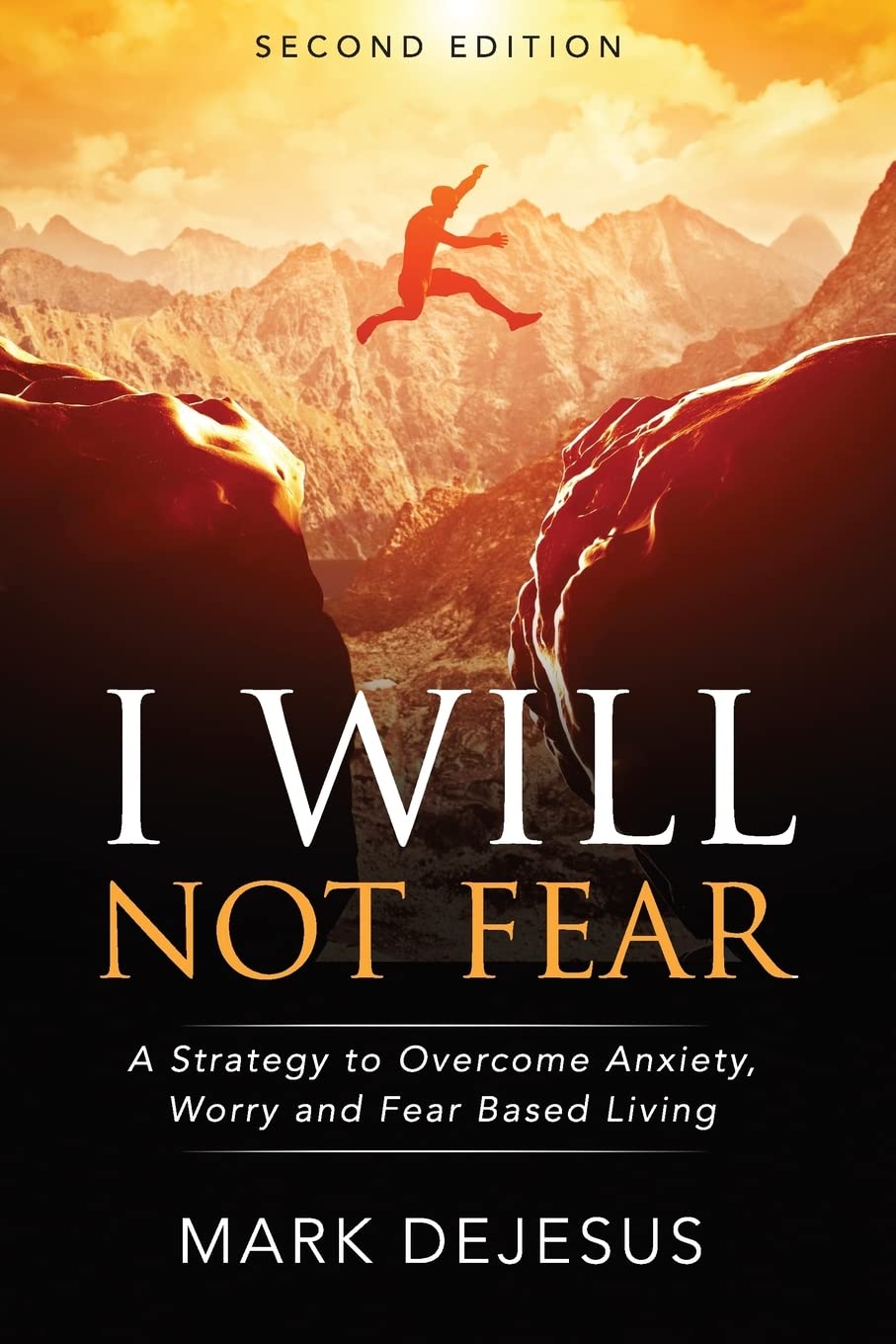 I Will Not Fear: A Strategy to Overcome Anxiety, Worry and Fear-Based Living - 2nd Edition used book depot