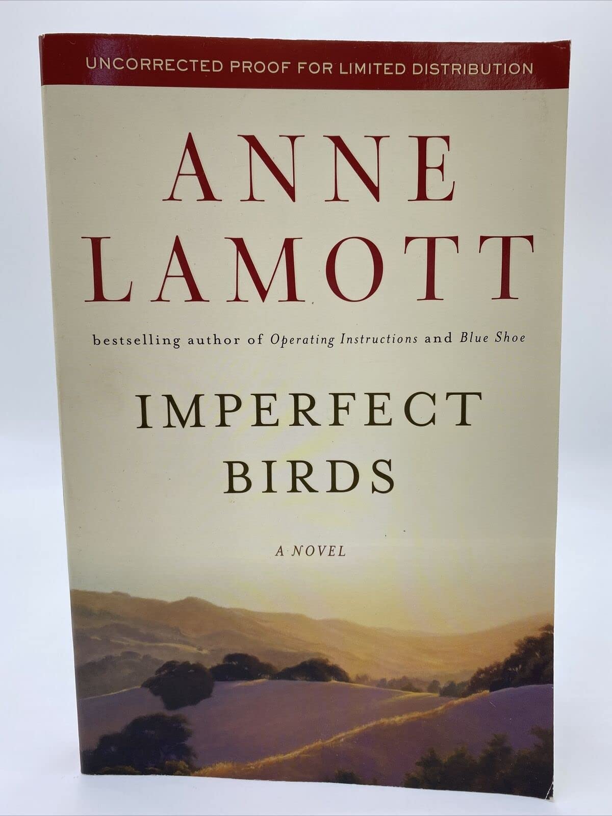 Imperfect Birds: A Novel used book depot