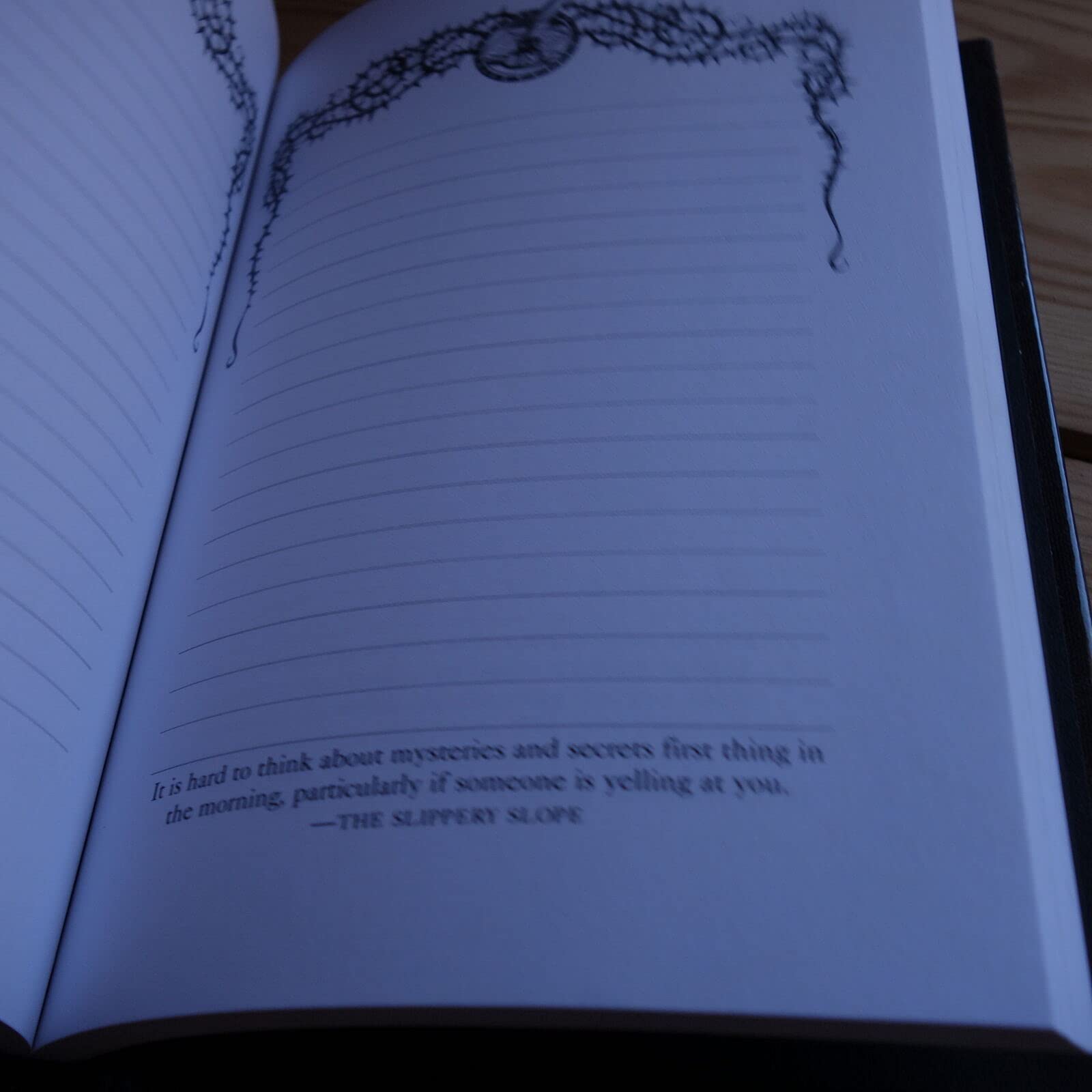 The Blank Book (A Series of Unfortunate Events Journal) used book depot