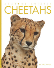 Amazing Animals: Cheetahs used book depot
