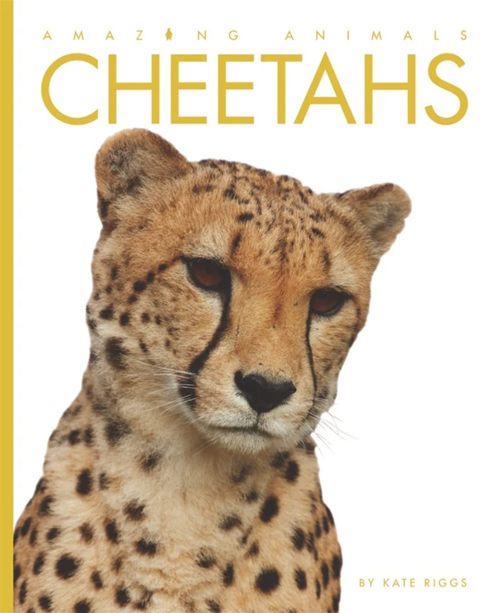 Amazing Animals: Cheetahs used book depot