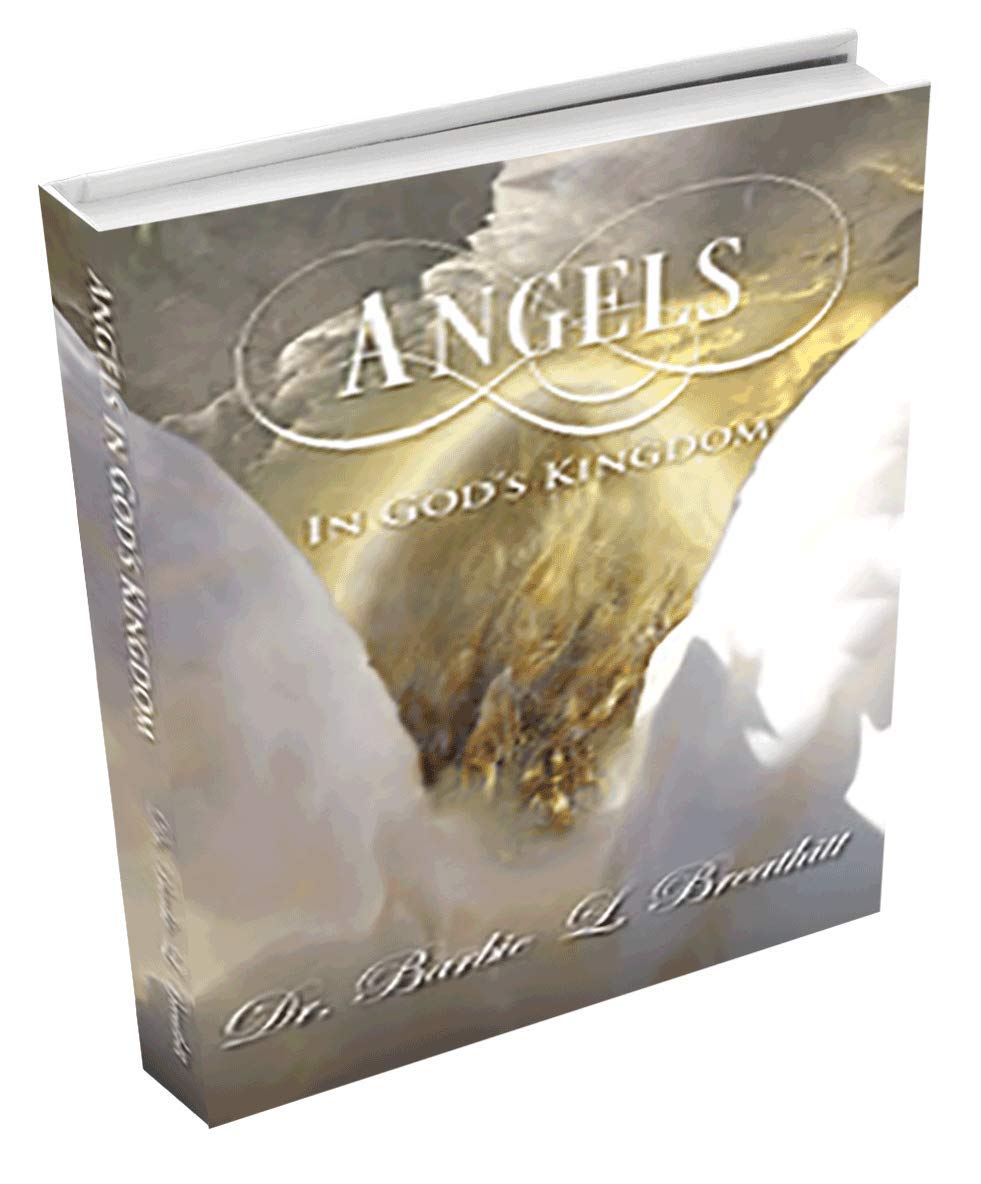 Angels in God's Kingdom used book depot