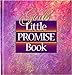 Gods Little Promise Book J Countryman Staff