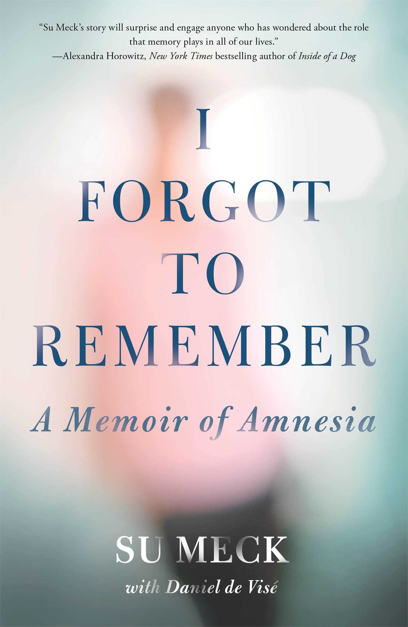 I Forgot to Remember: A Memoir of Amnesia used book depot