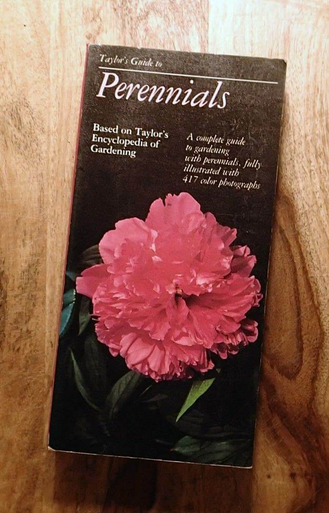 Taylor's Guide To Perennials used book depot