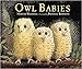 Owl Babies Waddell, Martin and Benson, Patrick