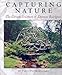 Capturing Nature: The Cement Sculpture of Dionicio Rodríguez (Rio Grande/Río Bravo: Borderlands Culture and Traditions)