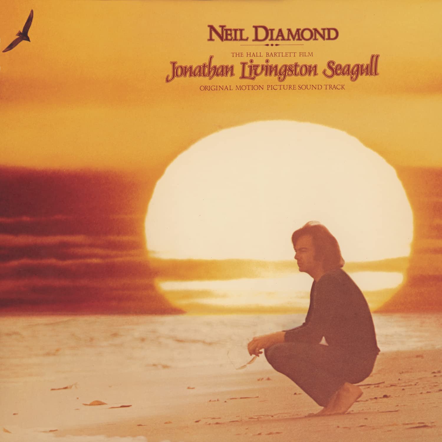 Jonathan Livingston Seagull: Original Motion Picture Soundtrack used book depot