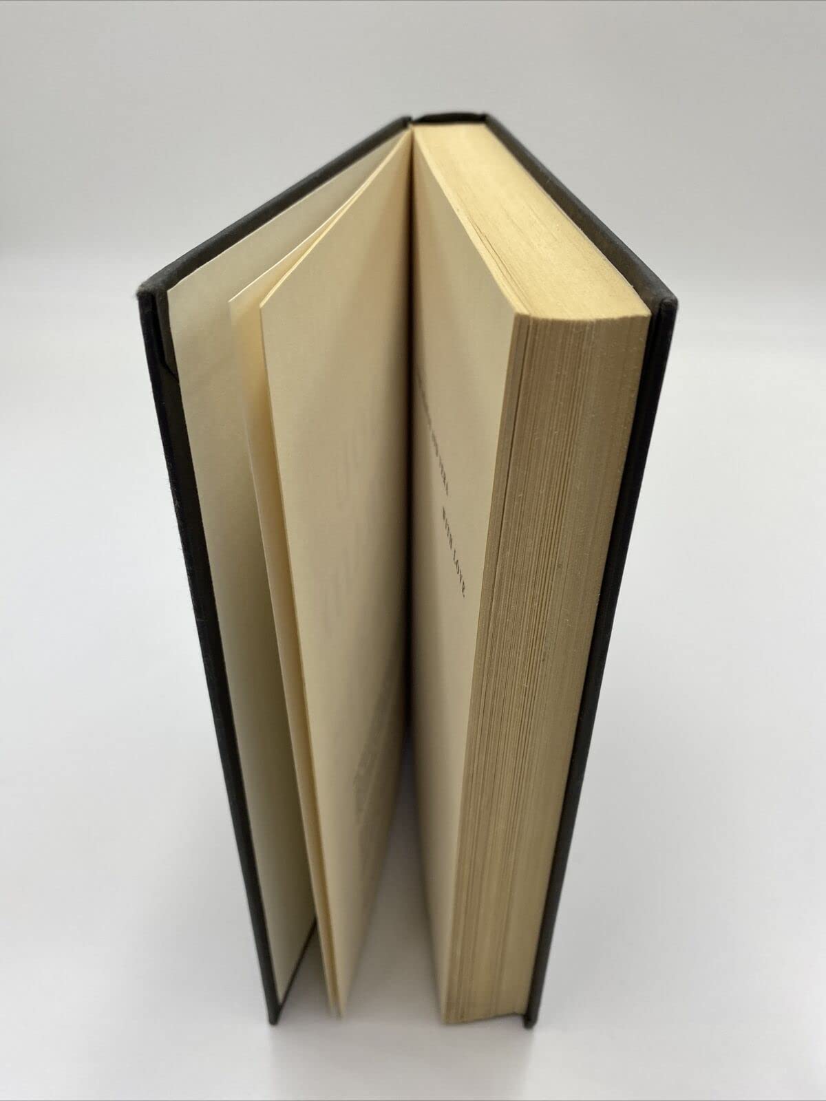 Are You Afraid of the Dark? : A Novel used book depot