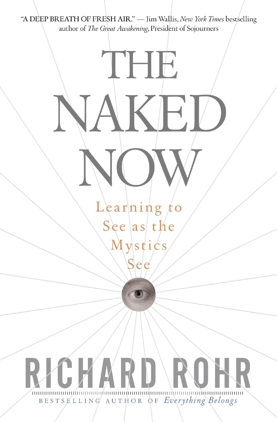 The Naked Now: Learning To See As the Mystics See used book depot