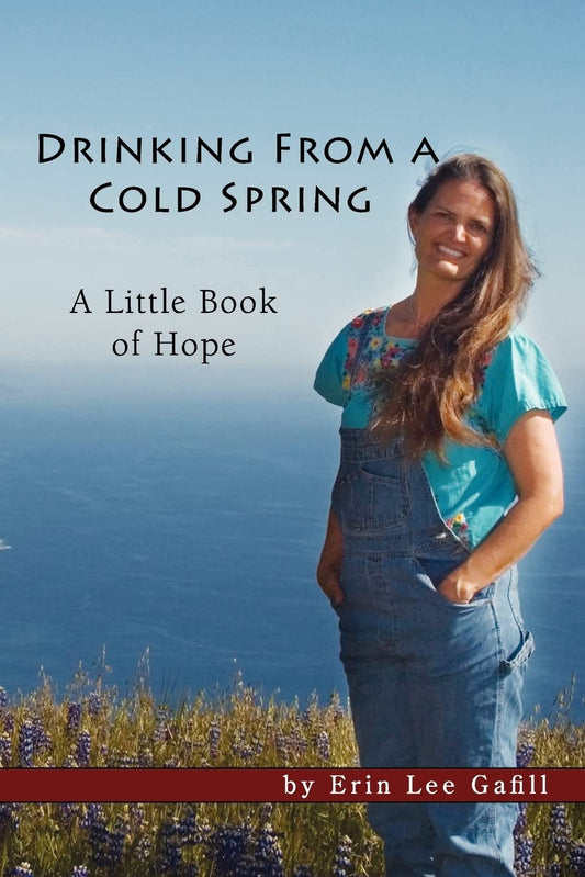 Drinking From A Cold Spring: A Little Book of Hope [Paperback] Gafill, Erin Lee