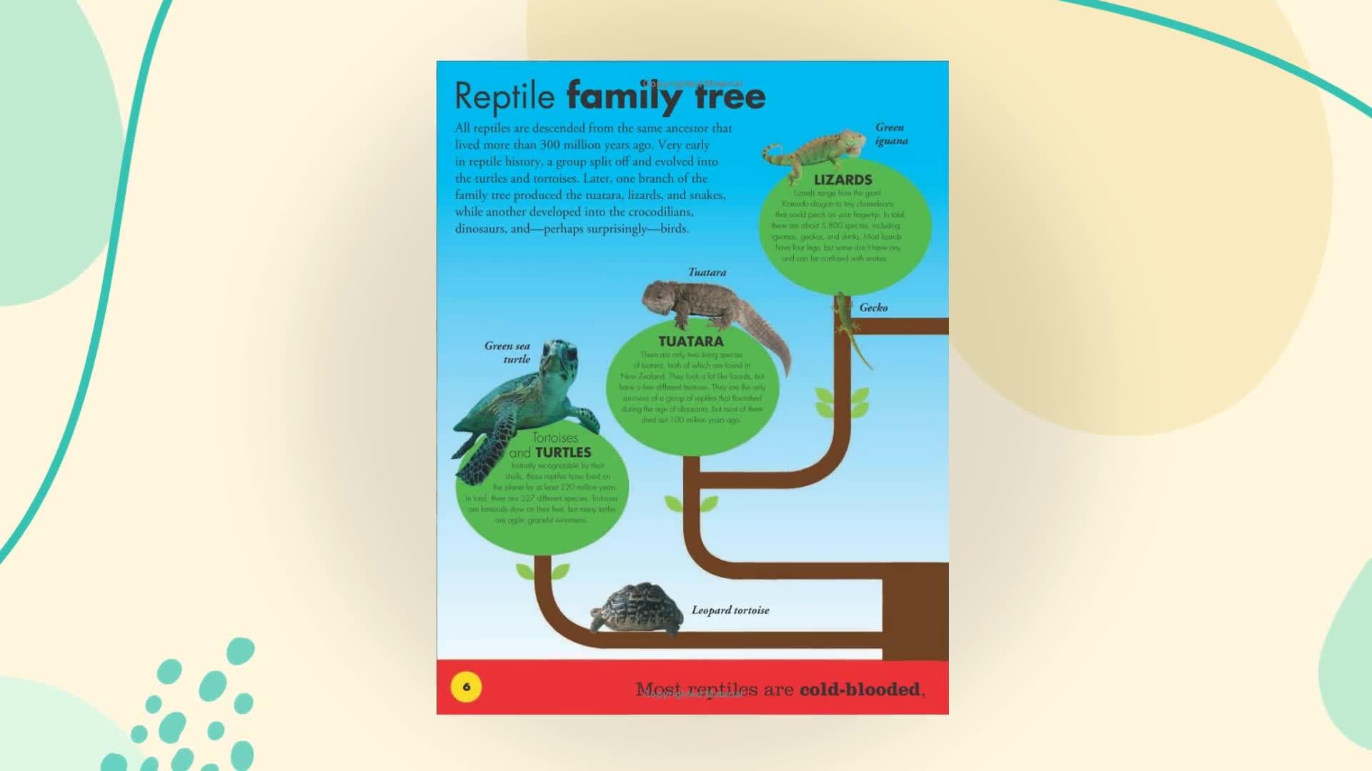 Everything You Need to Know About Snakes used book depot