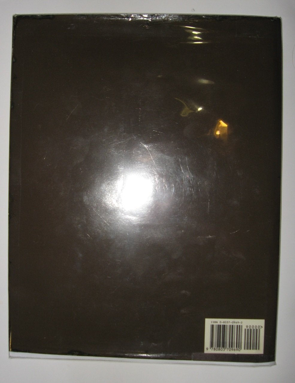 Brother Eagle, Sister Sky used book depot