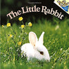 The Little Rabbit Judy Dunn and Phoebe Dunn