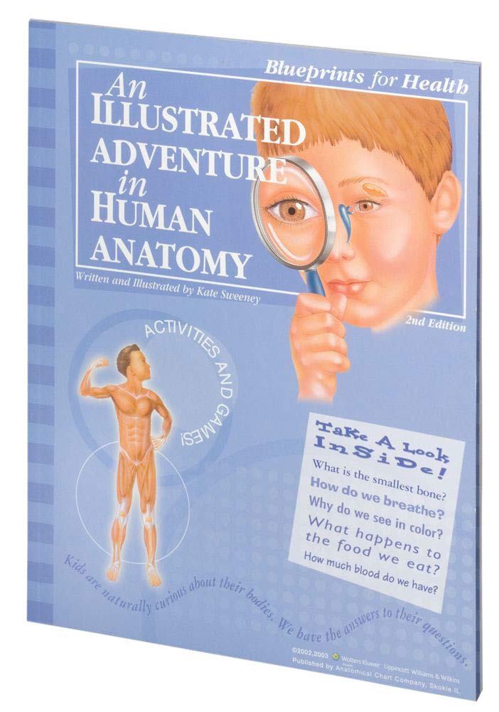 An Illustrated Adventure in Human Anatomy