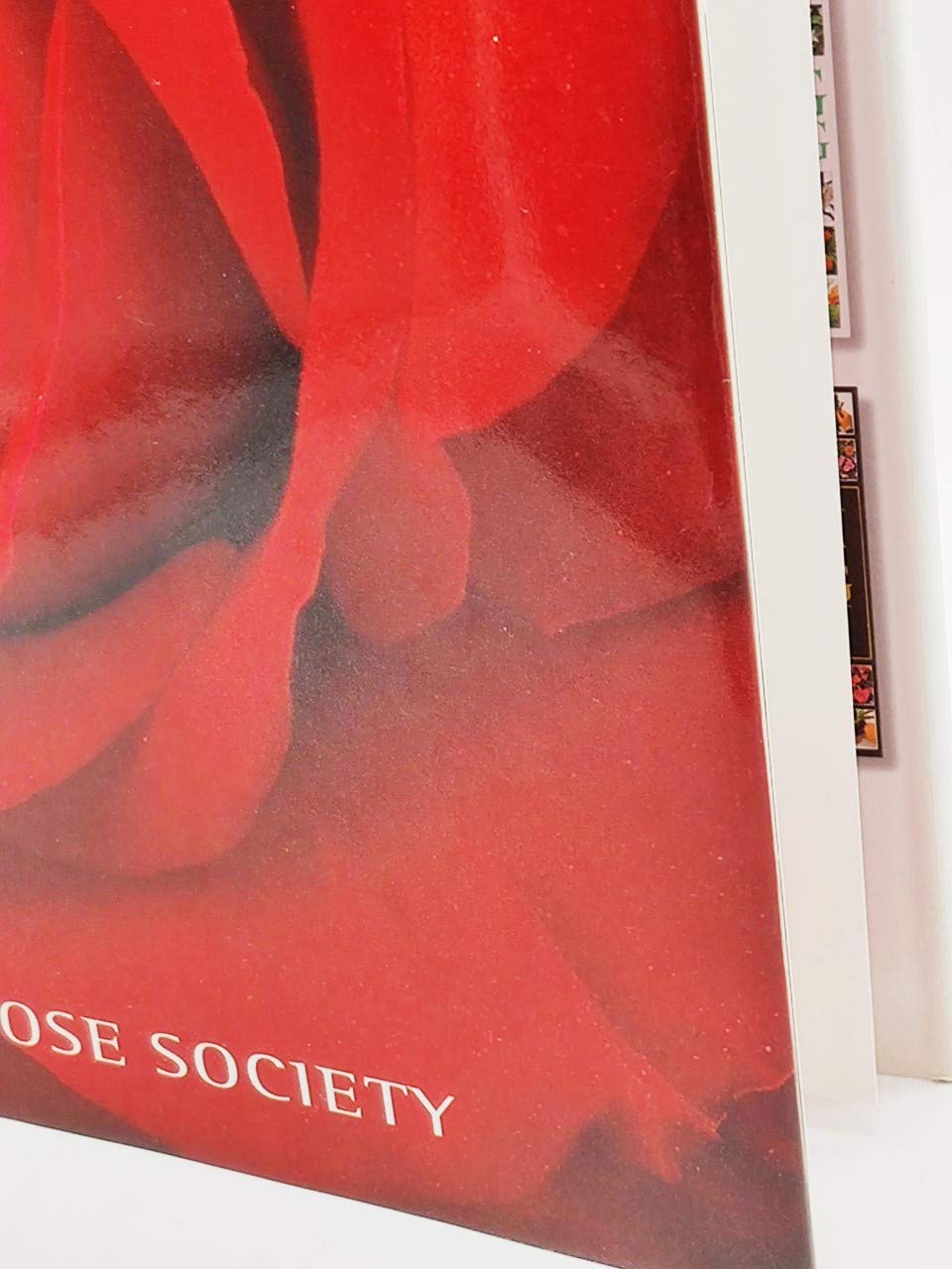 Ultimate Rose (American Rose Society) used book depot